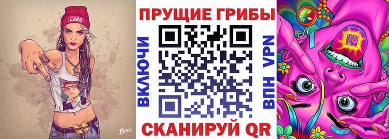 Псилоцибиновые грибы мухоморы  Купить закладки  Наро-Фоминск 